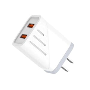 Dual USB wall charger with white and grey stripes