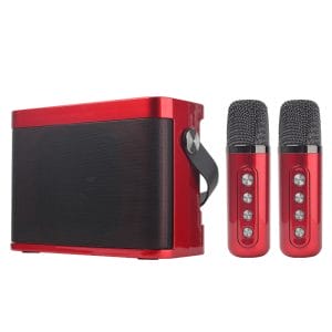 YS-219 Dual Mic Audio Microphone